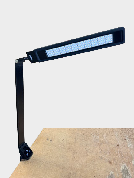 Bright Reach Clamp Lamp in Black