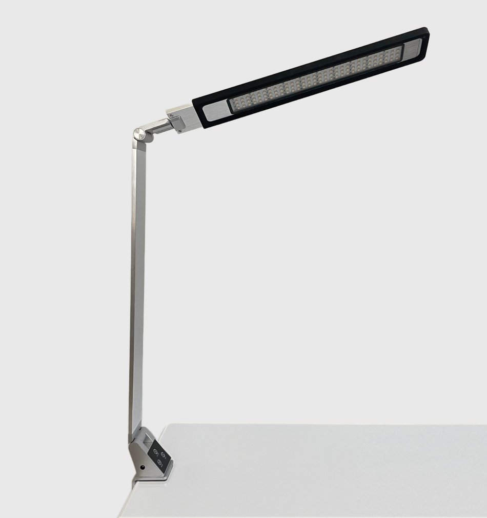 Bright Reach Clamp Lamp in Silver