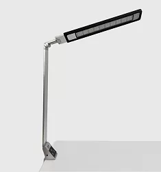 Bright Reach Clamp Lamp in Silver