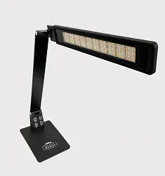 2026-3.jpeg